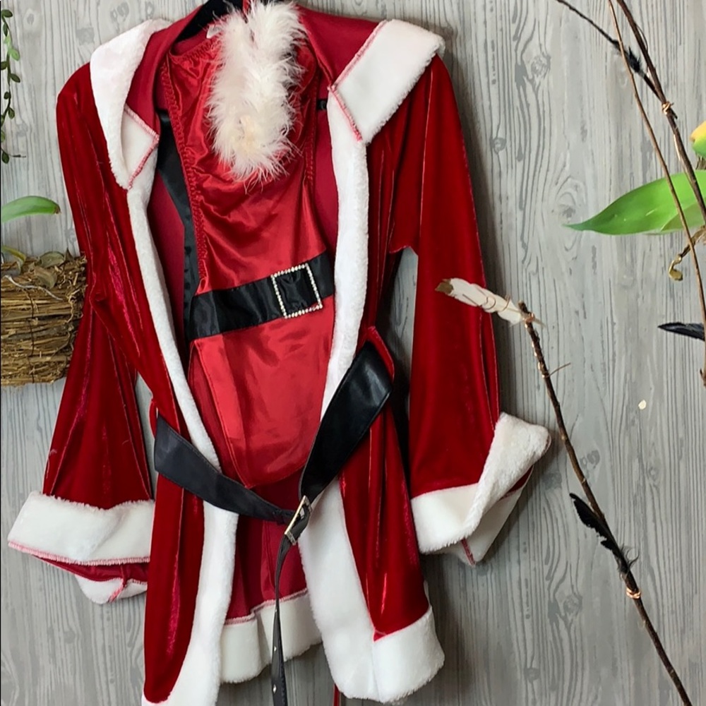 Sexy Santa outfit